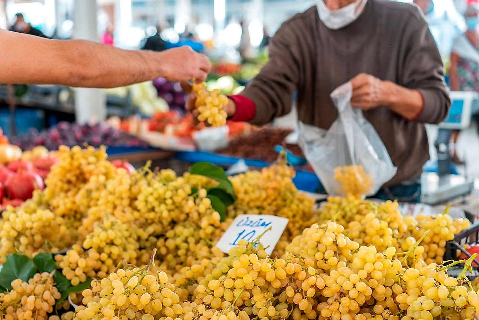 farmers market